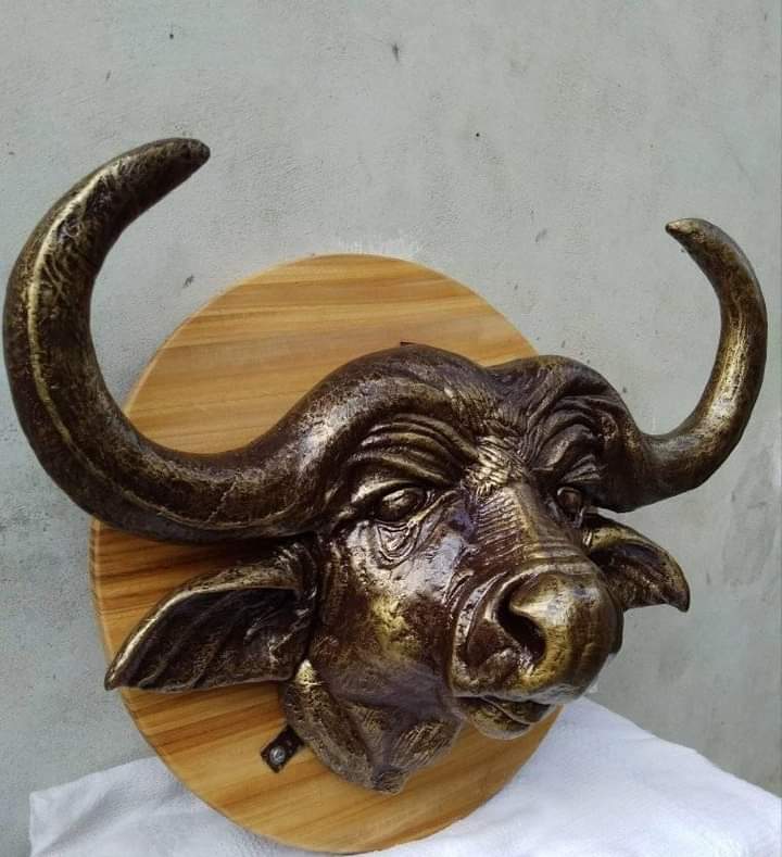 Buffalo Head